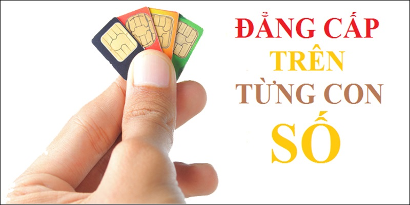 Sim đầu 079 gắn với nghĩa Thần Tài Lớn