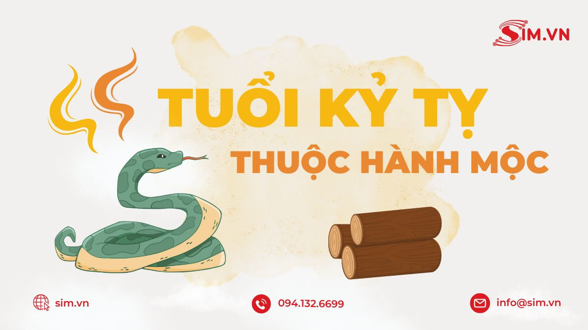 tong-quan-tuoi-1989-ky-ty