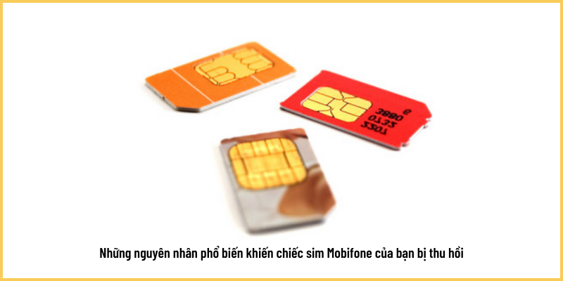 cach-lay-lai-sim-gmobile-bi-thu-hoi