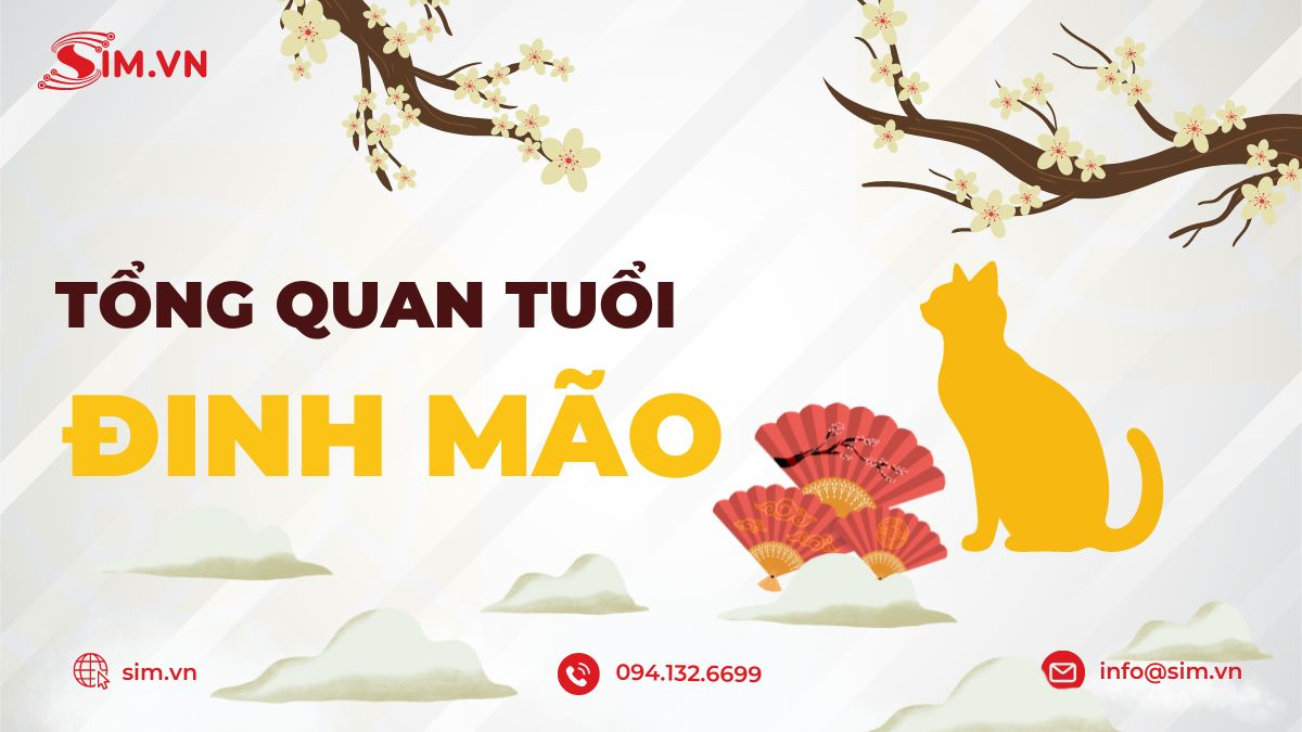 tong-quan-nguoi-tuoi-dinh-mao