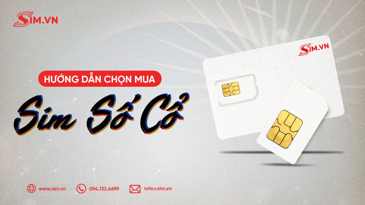 Hướng dẫn Chọn mua sim đầu số cổ Chọn mua sim đầu số cổ