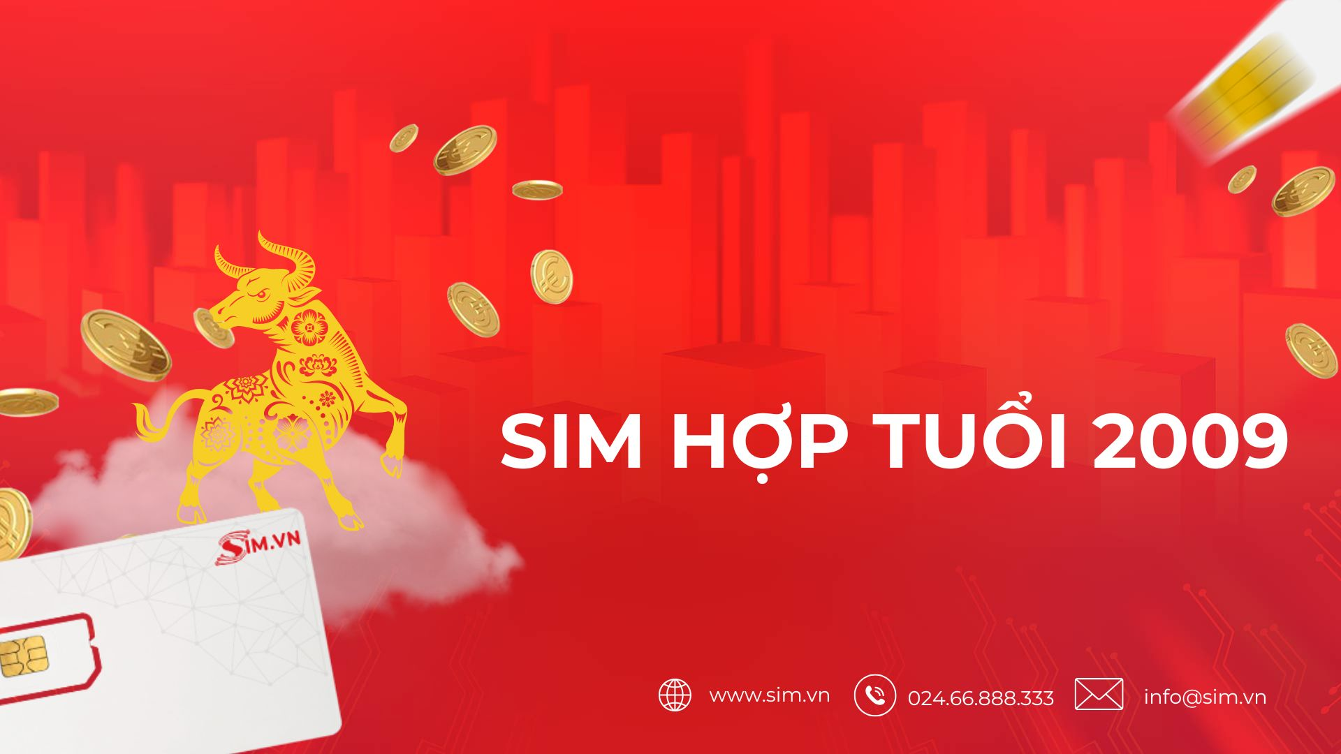 sim-hop-tuoi-2009 sim-hop-tuoi-2009