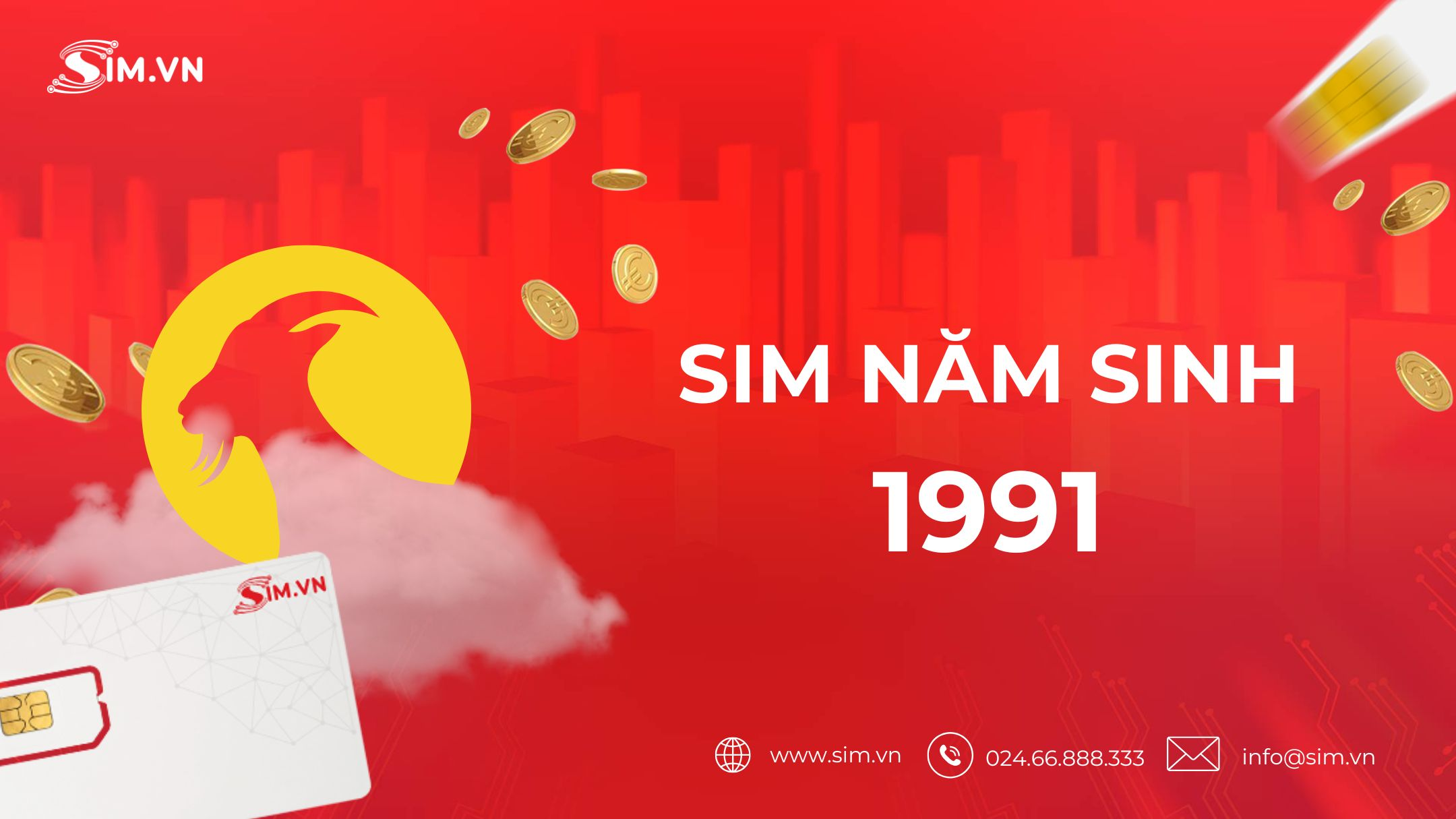 sim-nam-sinh-1991 sim-nam-sinh-1991