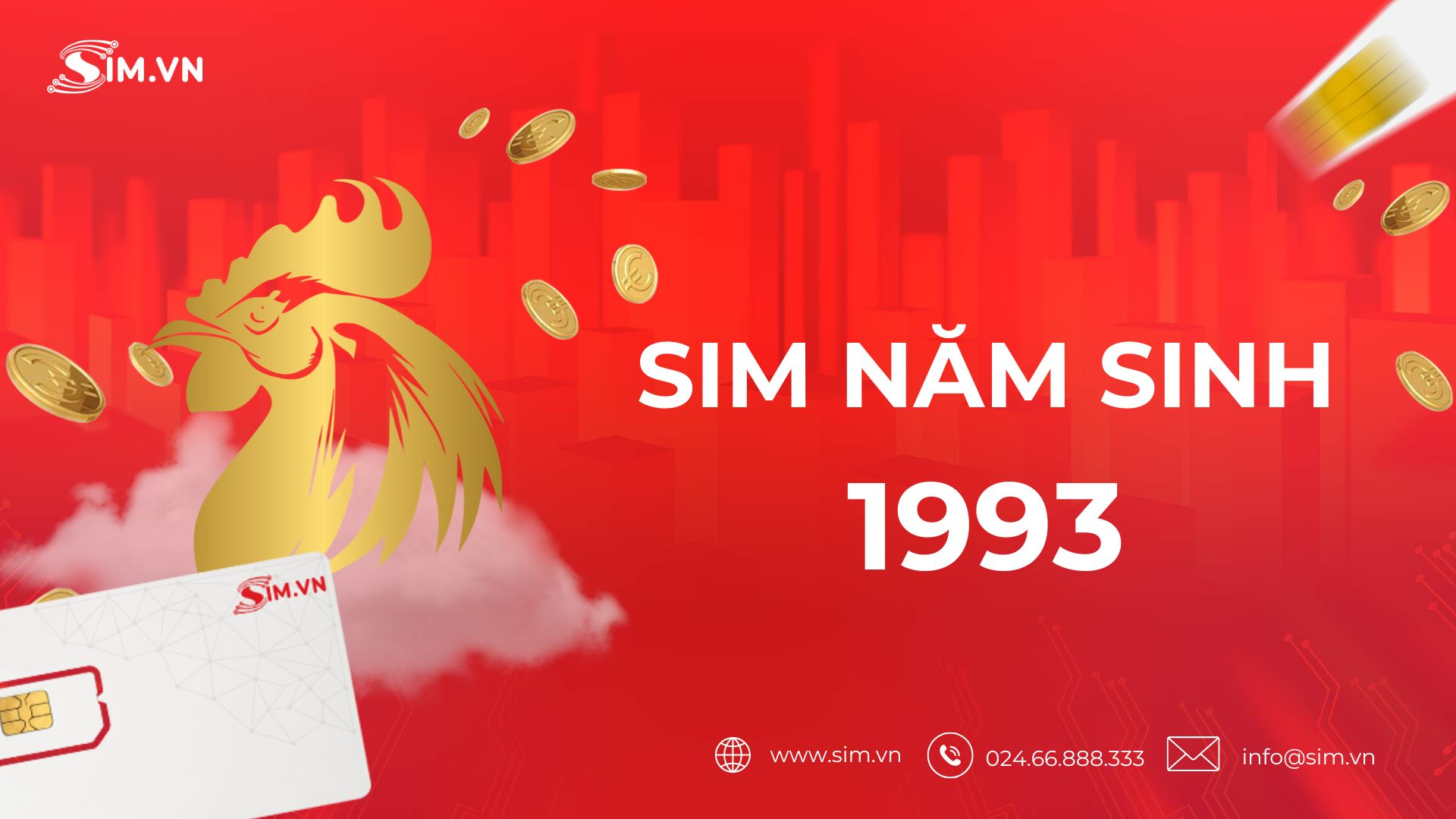 sim-nam-sinh-1993 sim-nam-sinh-1993