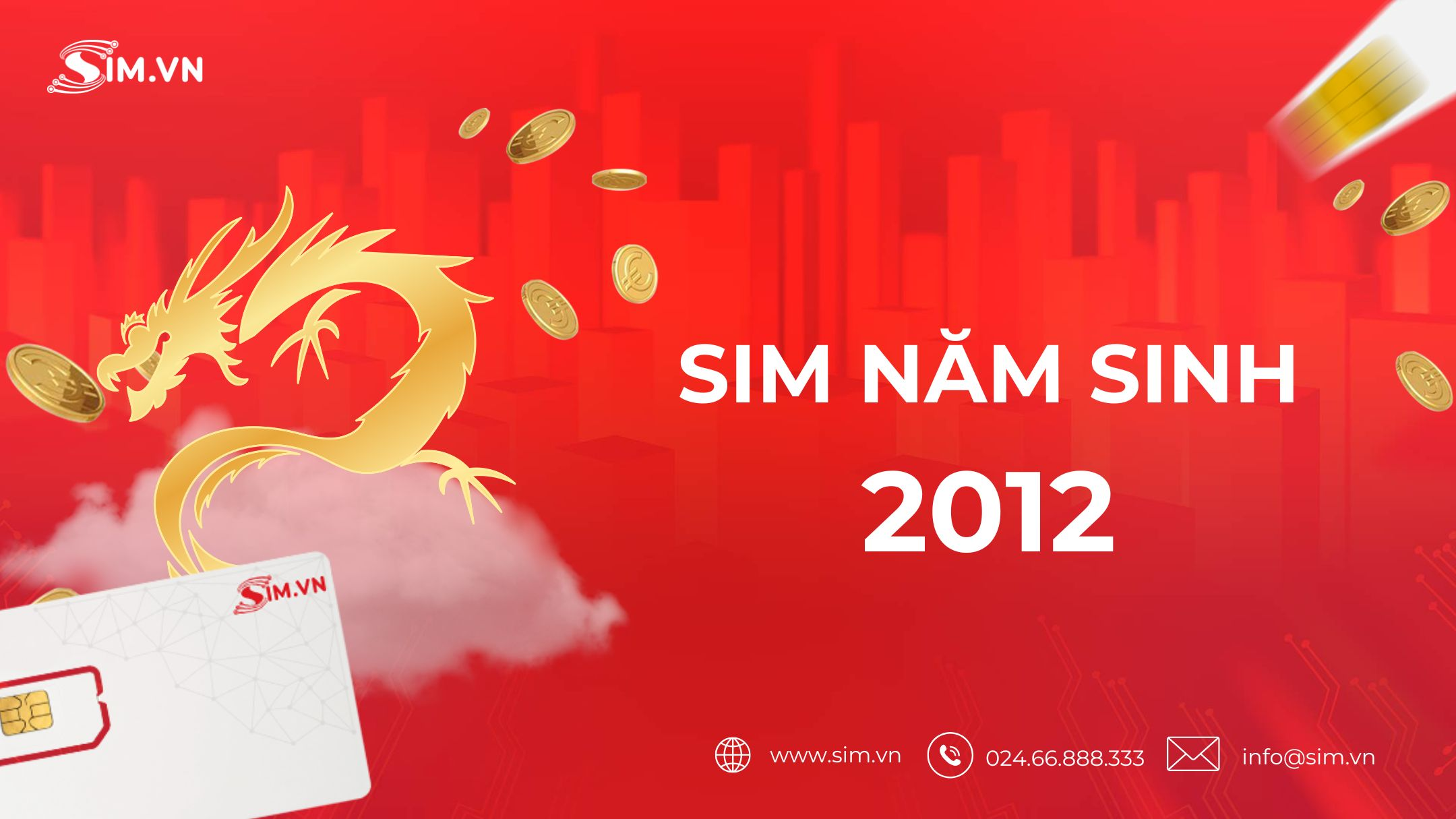 sim-nam-sinh-2012 sim-nam-sinh-2012
