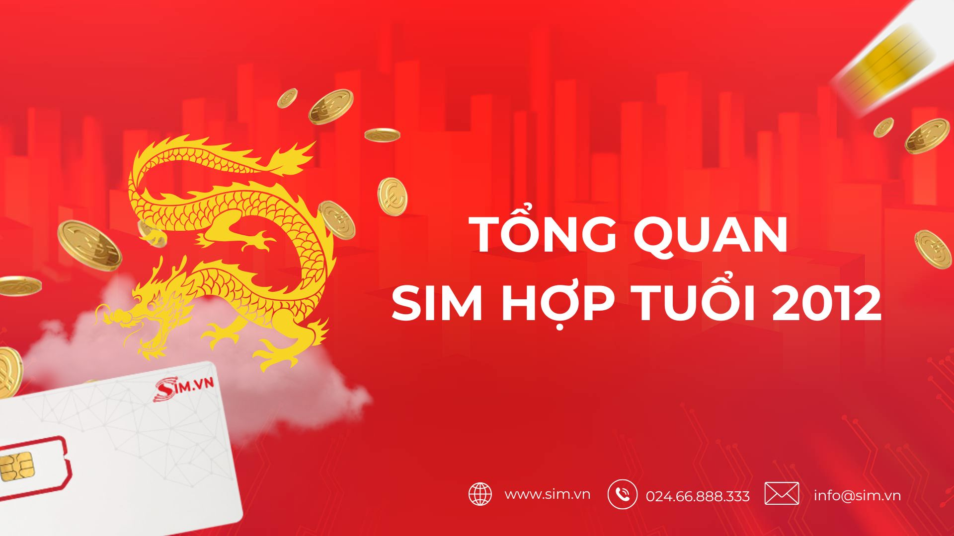 tong-quan-sim-hop-tuoi-2012 tong-quan-sim-hop-tuoi-2012