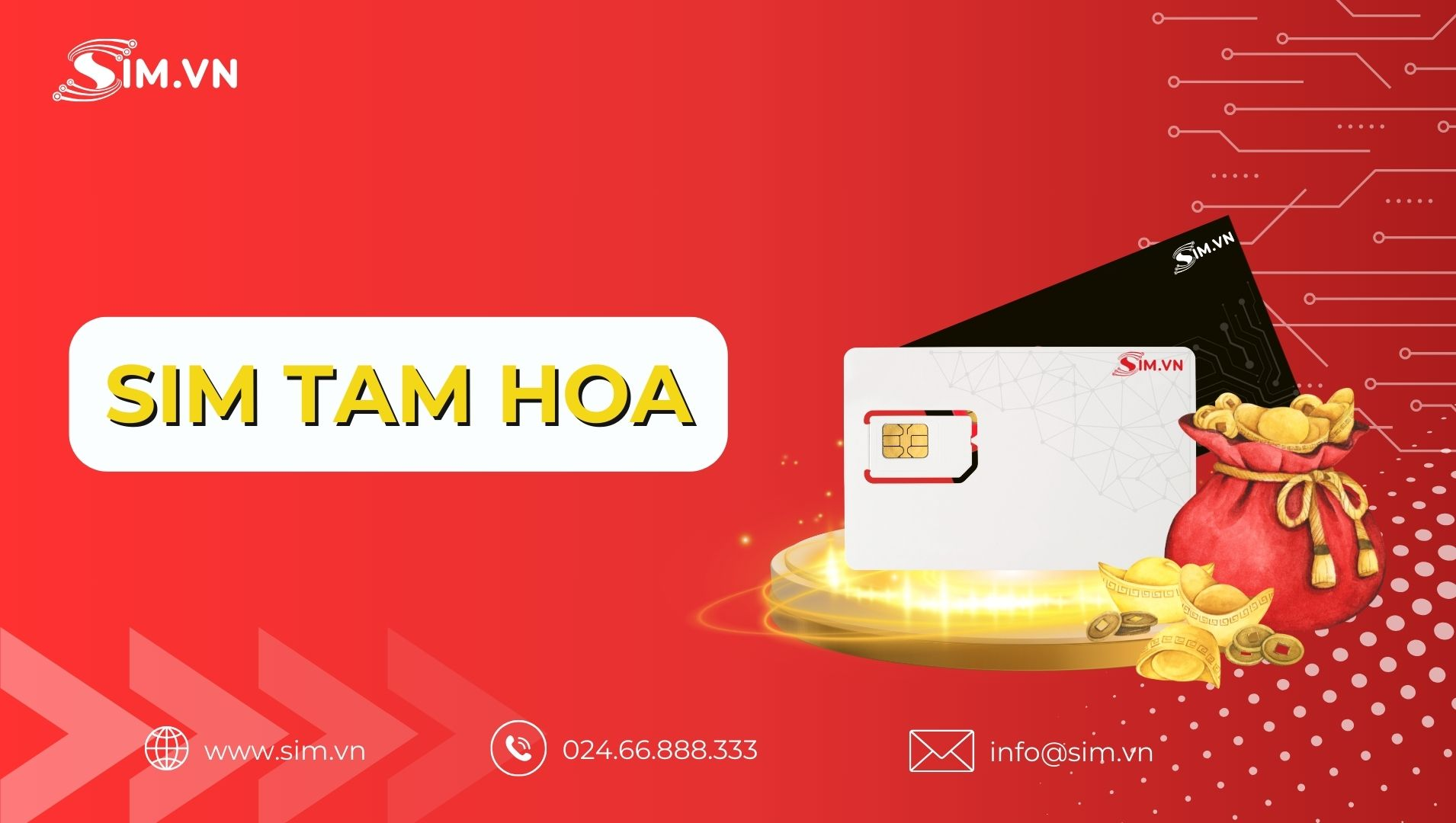 sim tam hoa sim tam hoa là gì