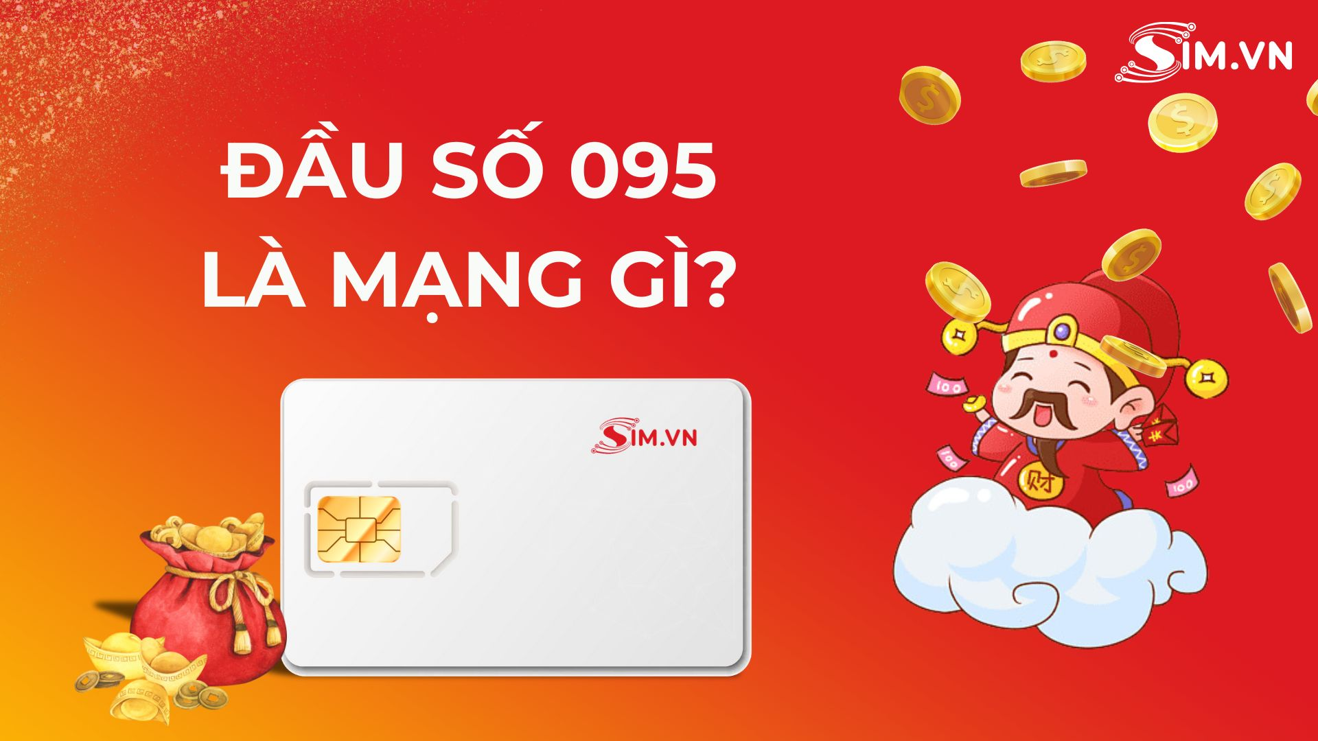 Đầu số 095 là mạng gì
